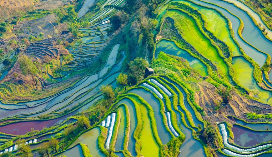 宝妈必备神器：陆河县产品视频拍摄轻松育儿好帮手